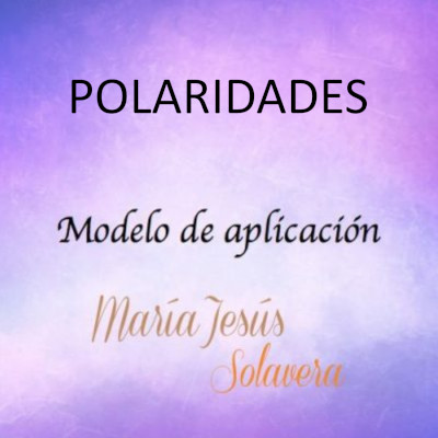 Modelo de Aplicación: Polaridades