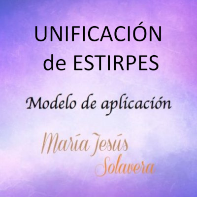 Modelo de Aplicación: Unificación de estirpes